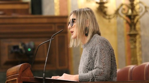 El Grupo Vasco reprocha al Gobierno su incapacidad para conseguir acuerdos y aprobar un escudo social: 