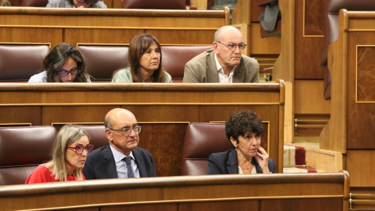 Vaquero reprocha al Gobierno español que el rechazo del Congreso a los decretos ley es 