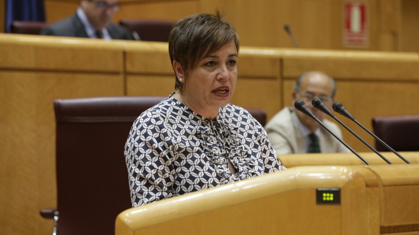 eaj, pnv, congreso, sánchez robles, isabel, lomce,