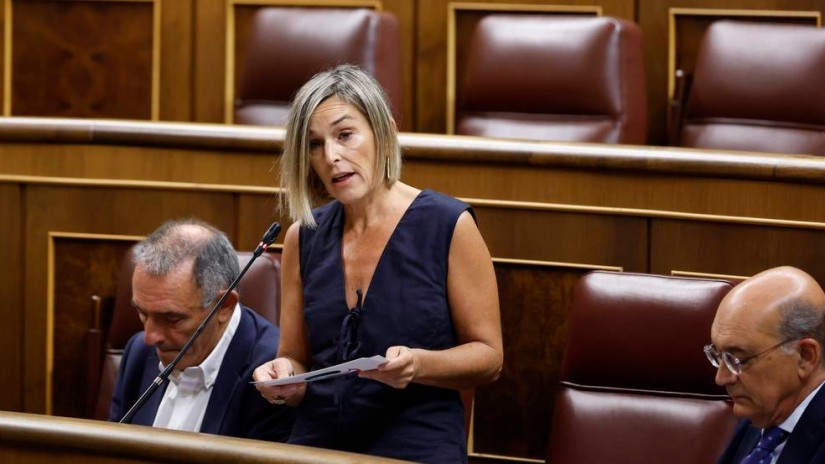 El Grupo Vasco pide al Gobierno español que garantice la prestación por cuidado de menores con enfermedad grave: 