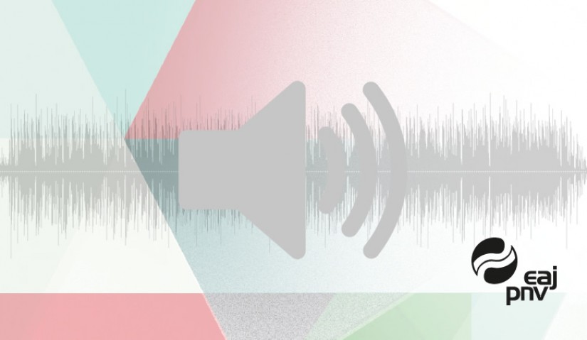 Aitor Esteban: Las elecciones generales van de Euskadi