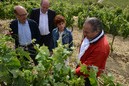 Páganos-Laguardia. Acto sectorial Agricultura (15-06-2016)