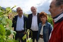 Páganos-Laguardia. Acto sectorial Agricultura (15-06-2016)